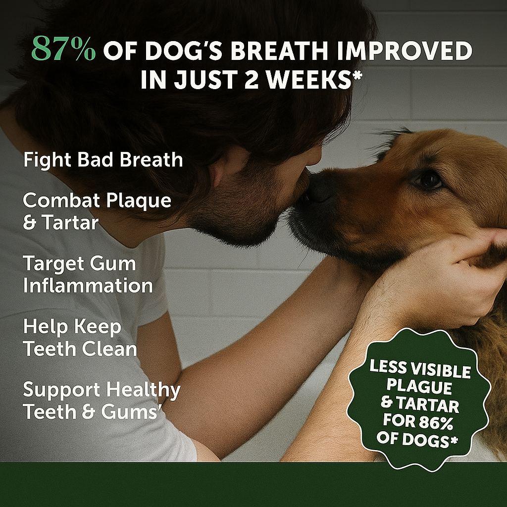 BeutraPaw™ Miracle Dental Powder