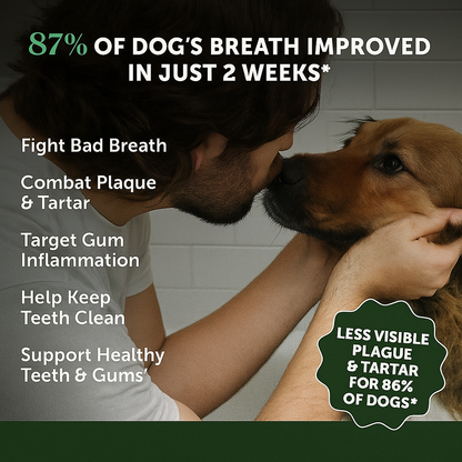 BeutraPaw™ Miracle Dental Powder