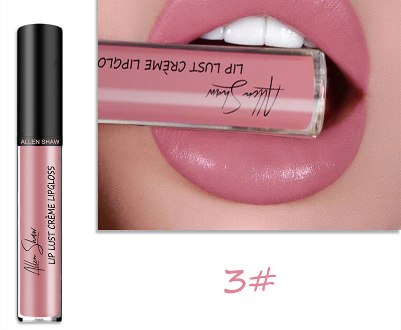 Silky Cream Hydrating Lip Gloss