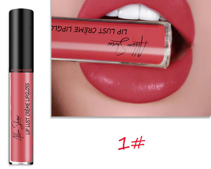 Brillo labial hidratante Silky Cream