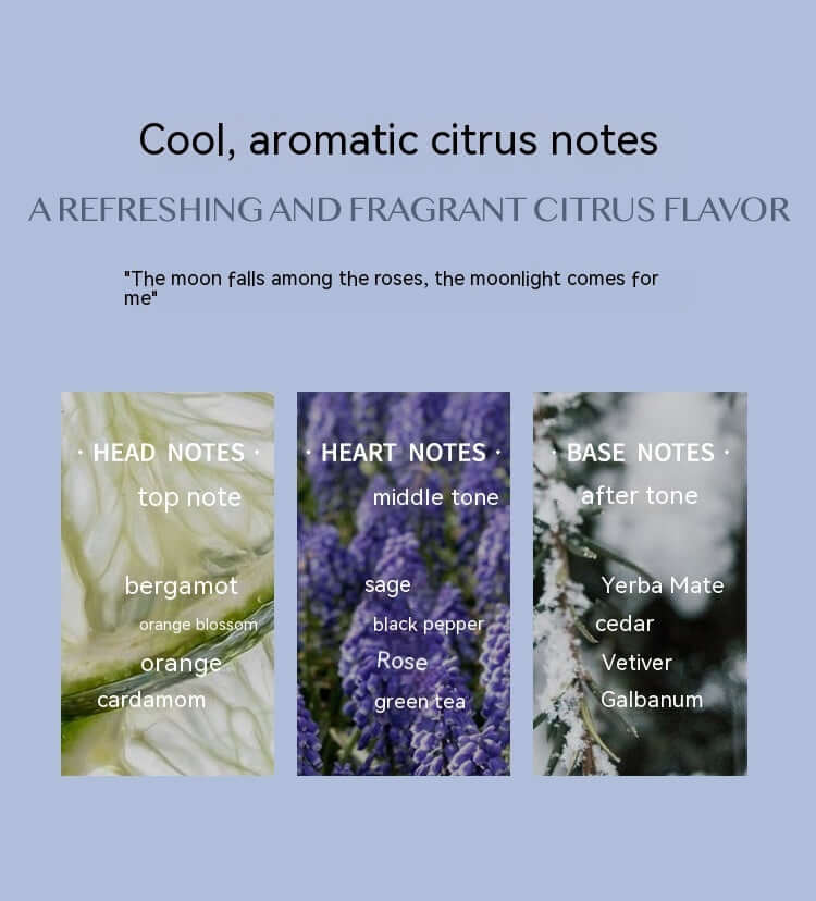 Citrus Bliss Perfume – Fresh & Long-Lasting Scent