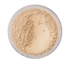 Translucent Loose Setting Powder